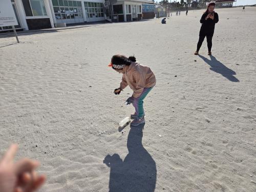 바다가 불쌍해요