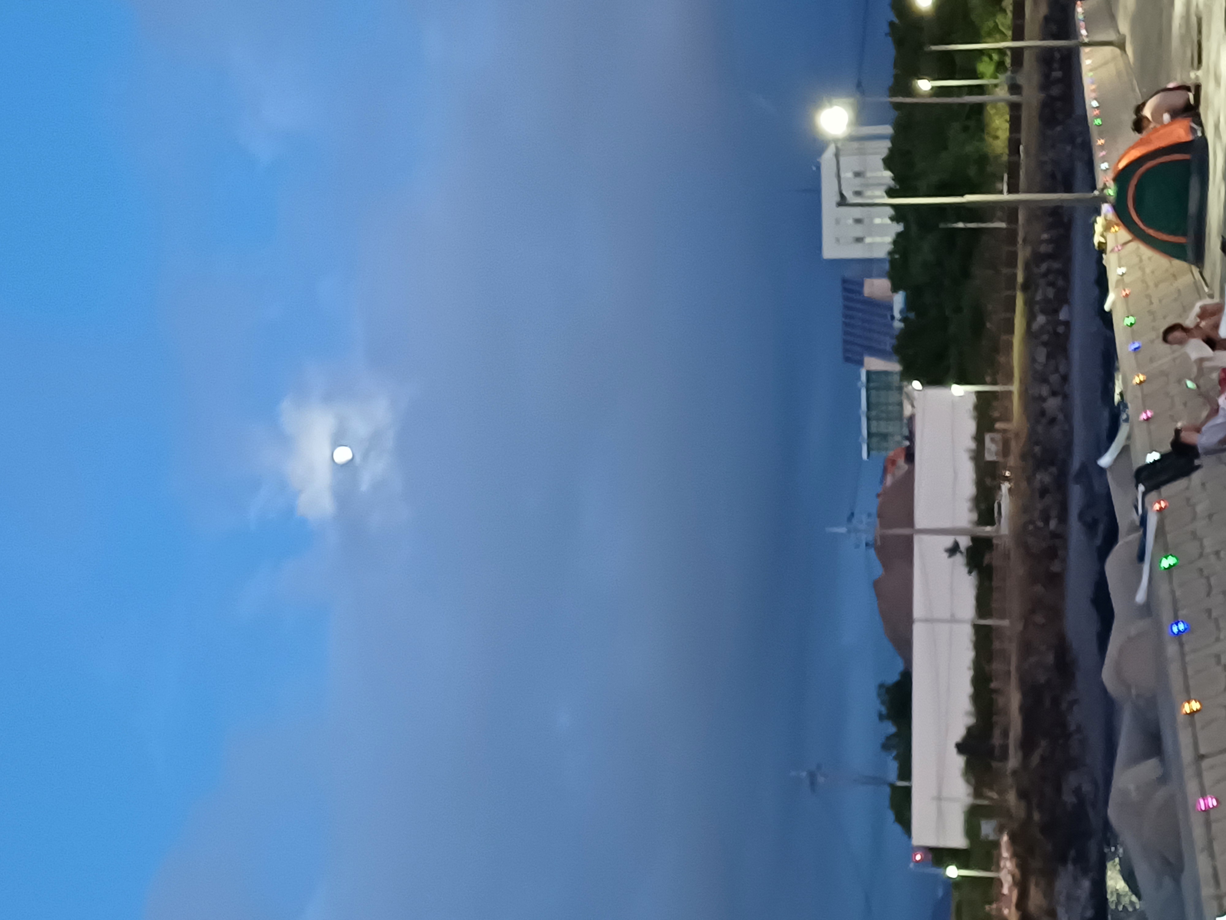 1000029709.jpg