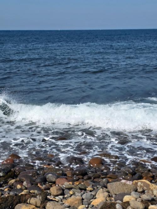 해변 플로깅 보람 있었어요
