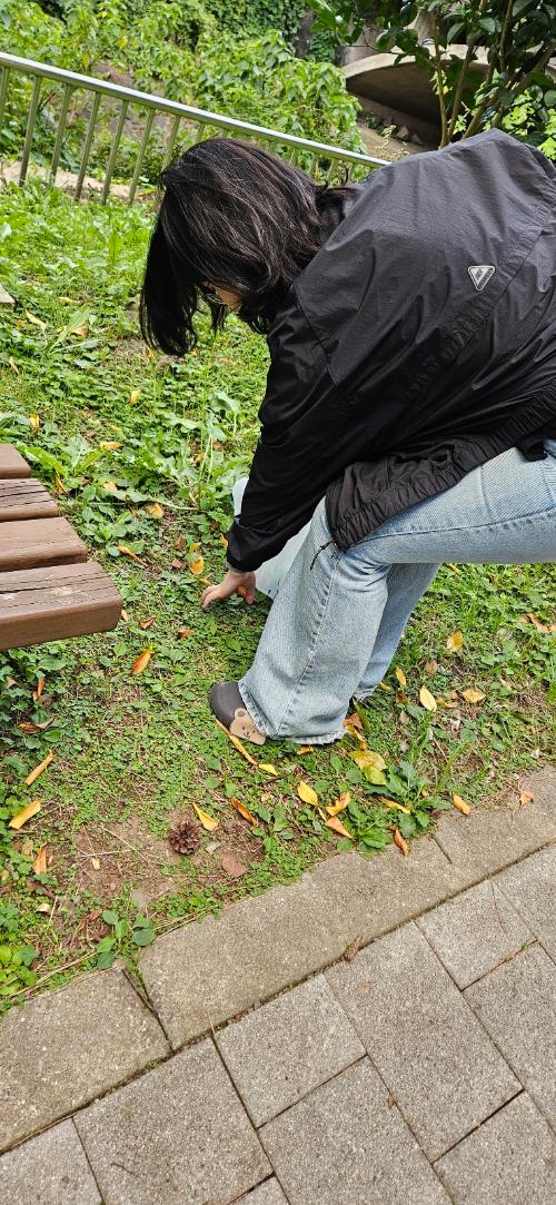 경제통상진흥원 주변 정화 활동