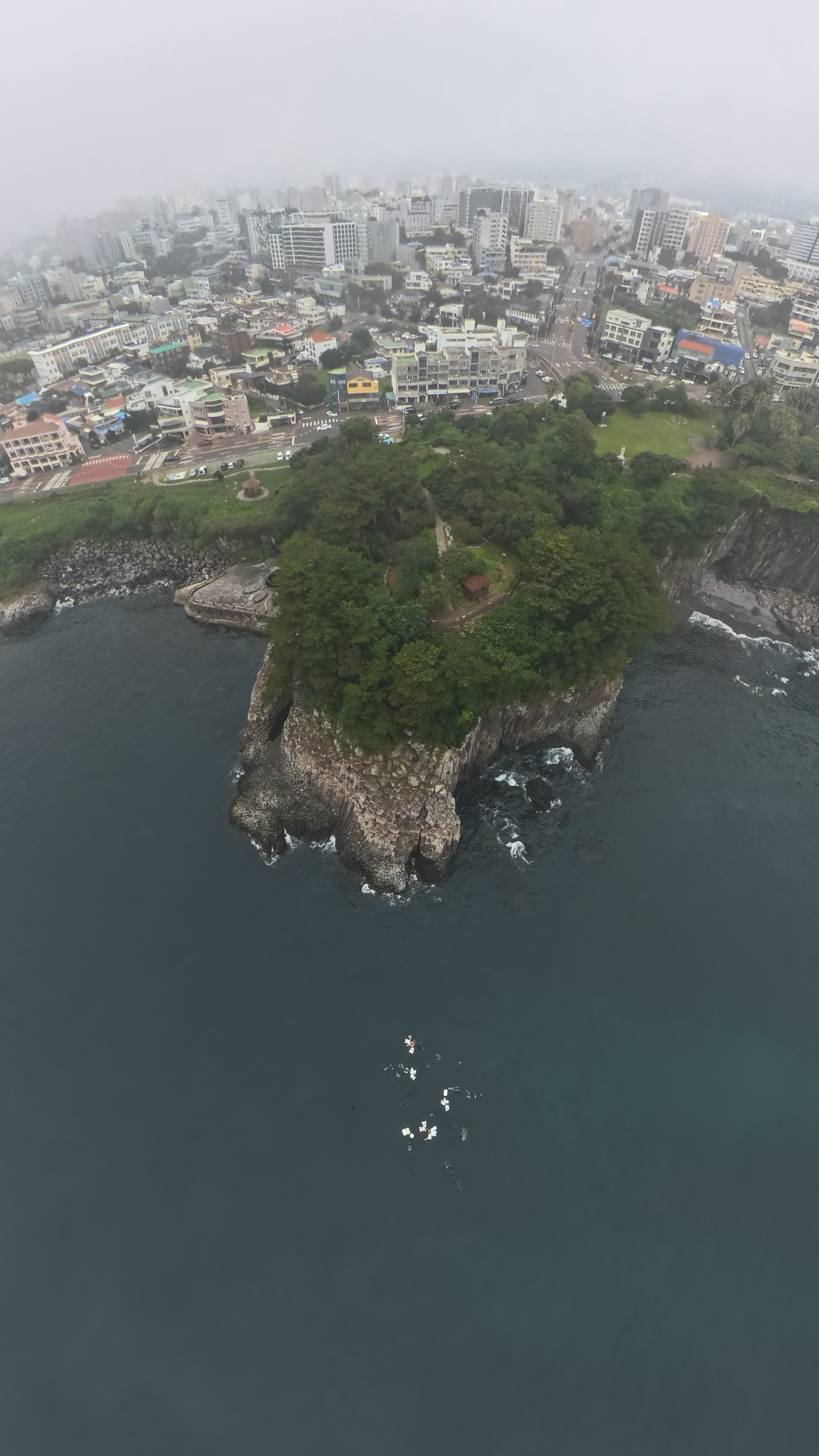 IMG_20260719_195810_529.jpeg