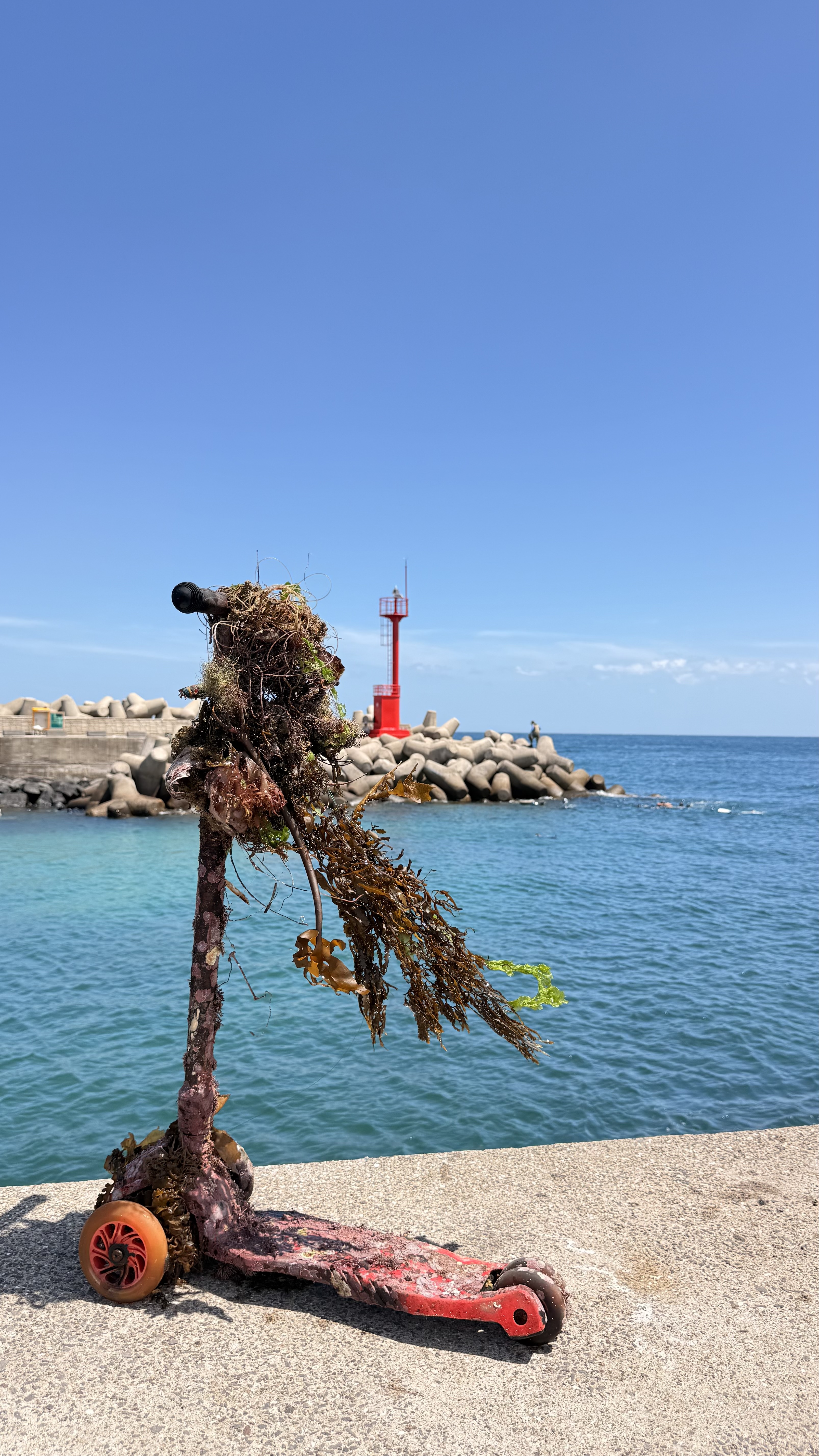 IMG_5225.jpeg