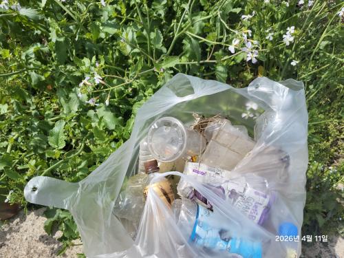 봉성동4길 시골길 정화활동